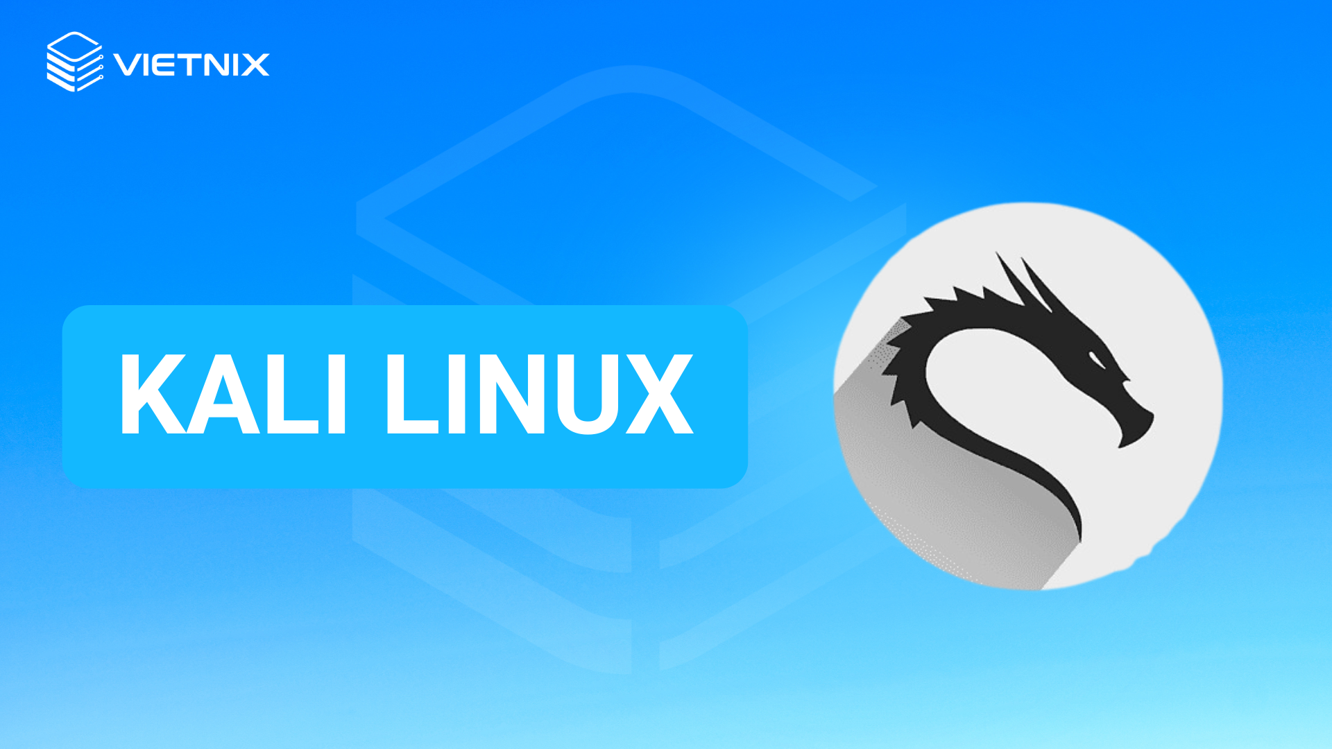 Kali Linux