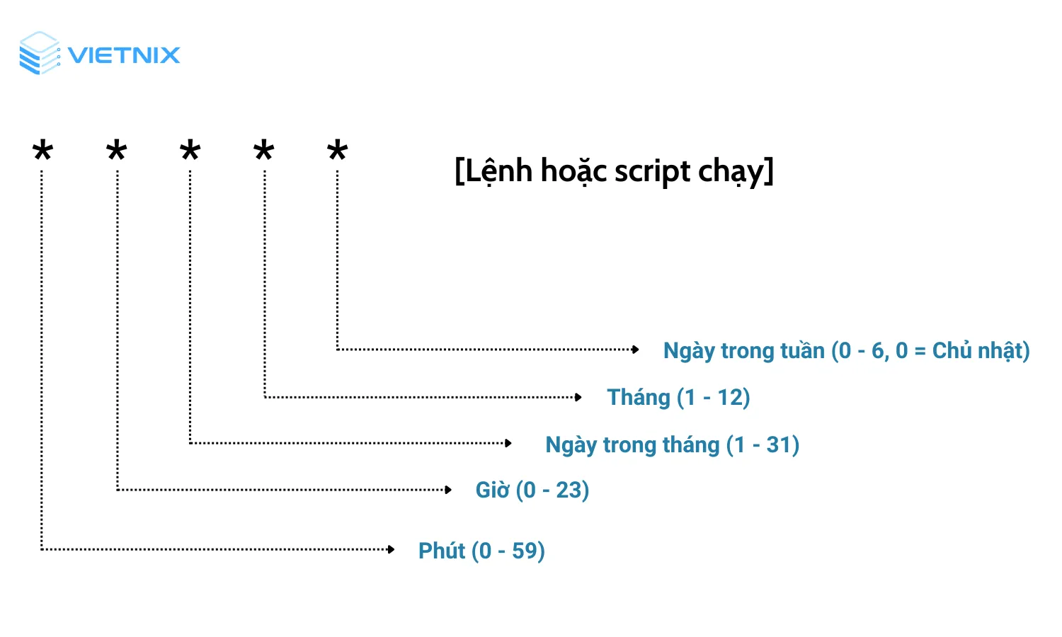 Cấu trúc của Crontab