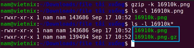 Giải nén file 16910k