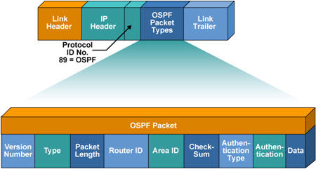 gói tin OSPF
