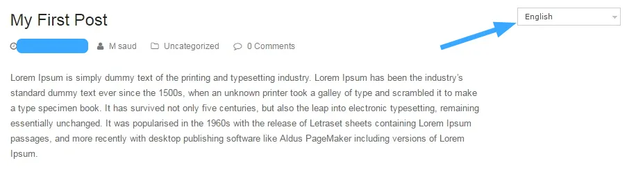 Website tiếng Anh sau khi đổi ngôn ngữ bằng WPML