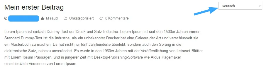 Website tiếng Đức sau khi đổi ngôn ngữ bằng WPML