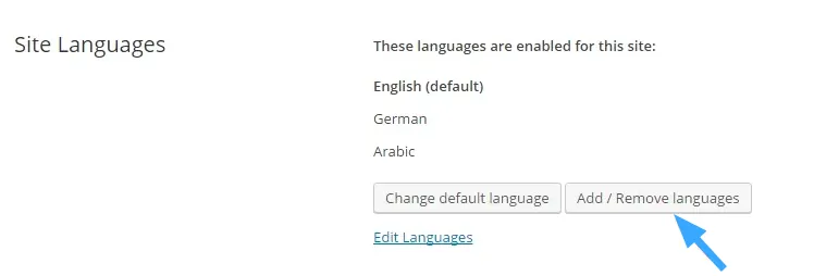 Thêm ngôn ngữ Ả Rập băng WPML