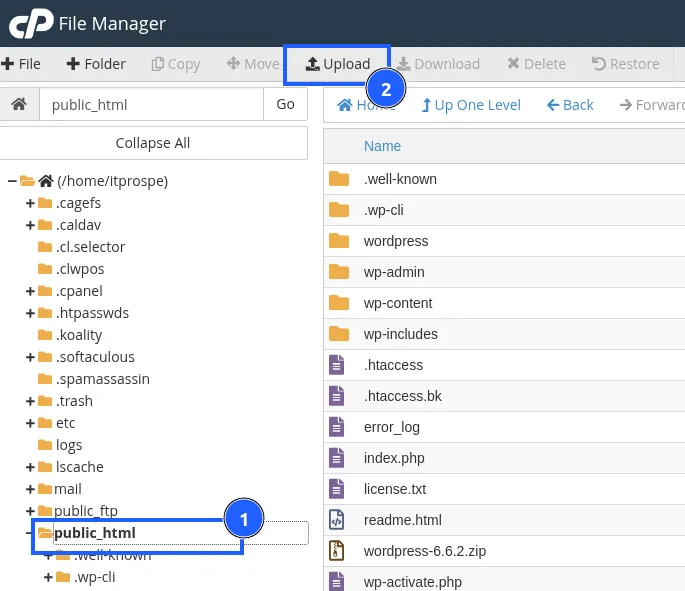 Chọn mục public_html