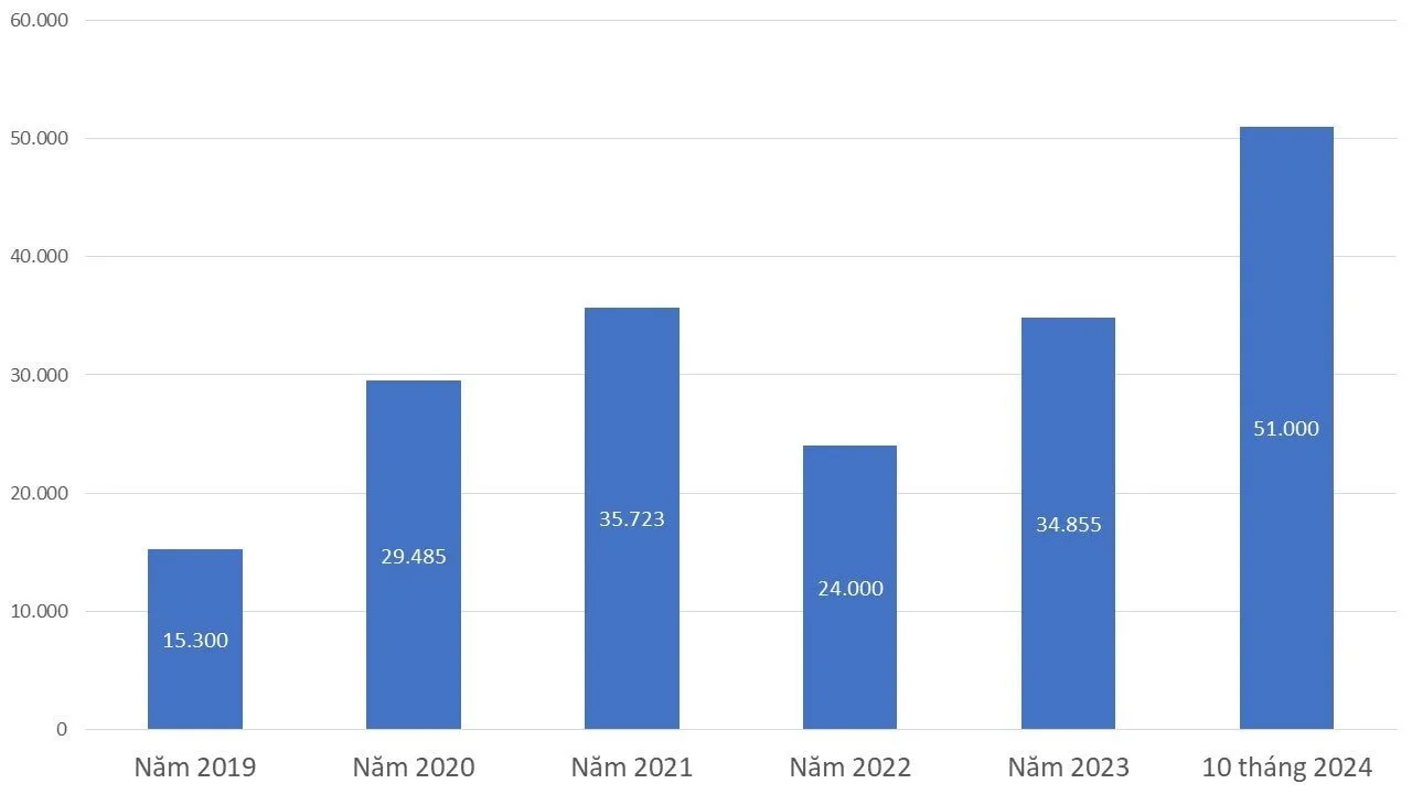 Doanh số ô tô VinFast qua các năm. Nguồn: VinFast