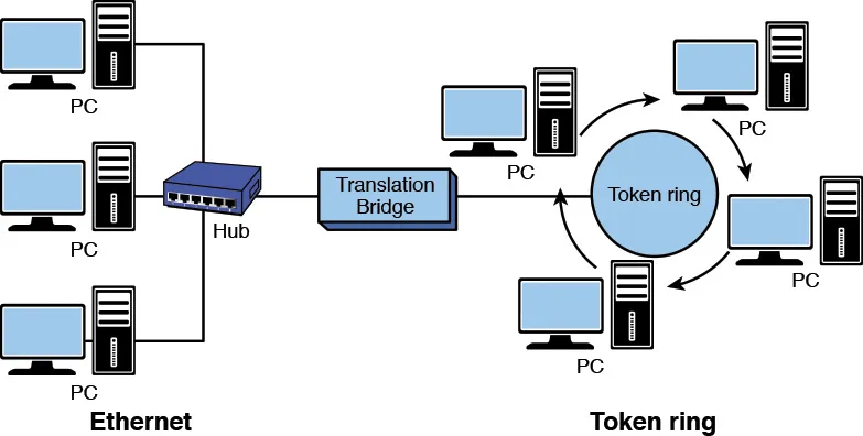 Translational Bridge