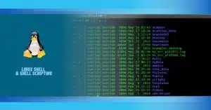 Linux Shell va Shell Scripting