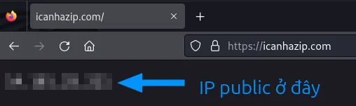 Cách kiểm tra địa chỉ IP trong Linux 21 kiem tra dia chi ip public