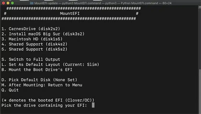 Chọn Install MacOS Big Sur