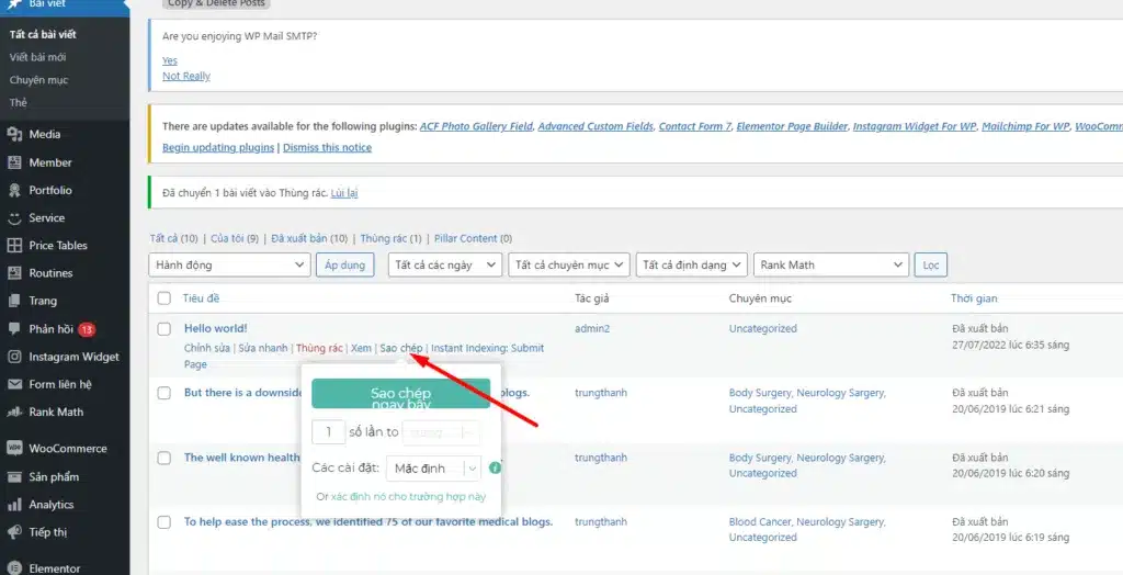 Plugin Duplicate Post WordPress