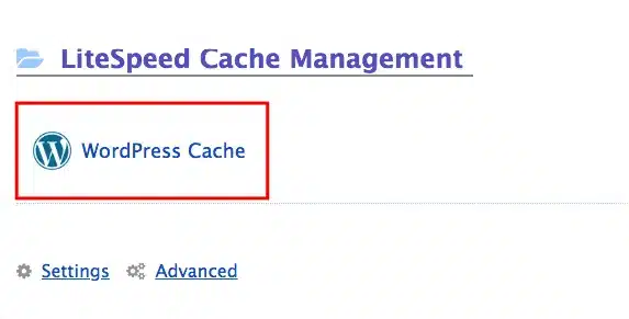 Chọn WordPress Cache