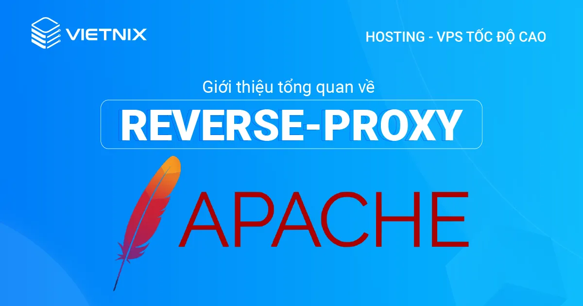 Reverse proxy nhận các request HTTP/HTTPS rồi gửi đến backend server