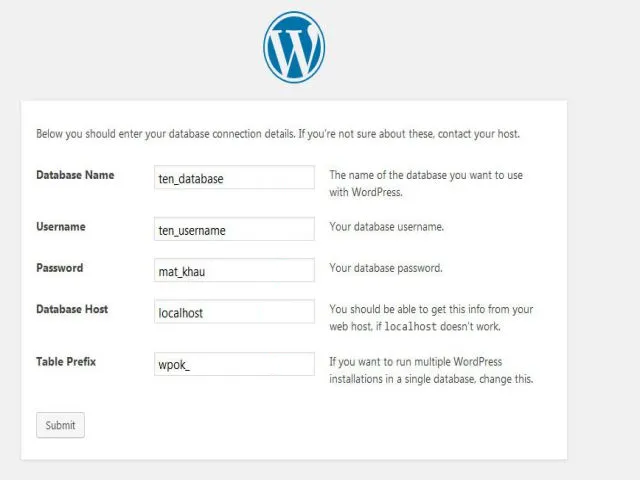 Điền thông tin đầy đủ vào WordPress