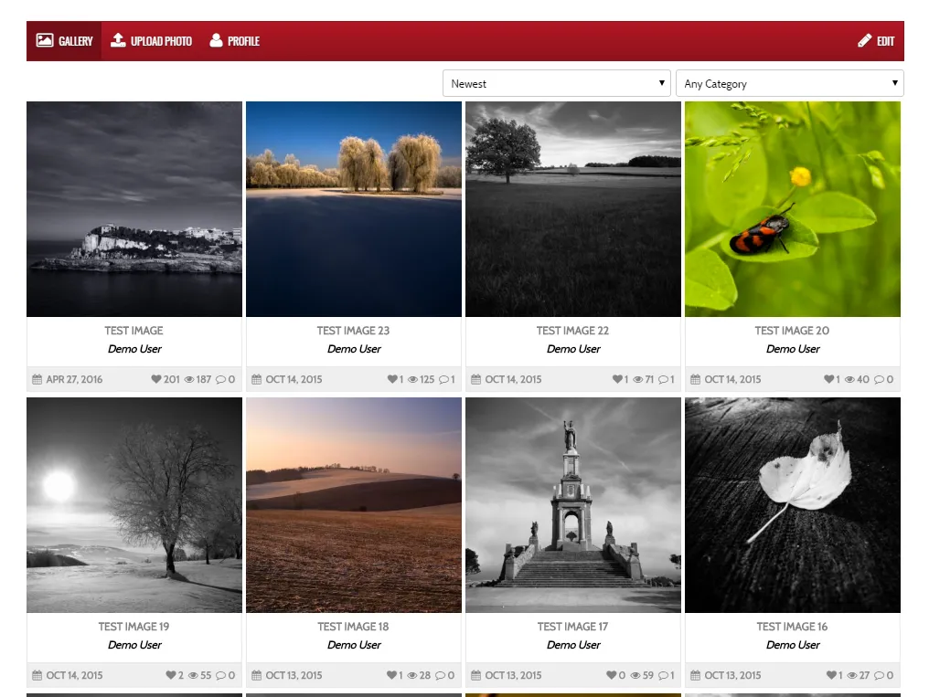 User Gallery WordPress Plugin