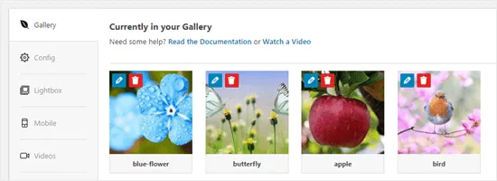 Cuộn xuống phần Gallery để xem hình đã tải lên