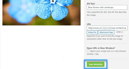 Nhấp vào button Save Metadata để hoàn thành
