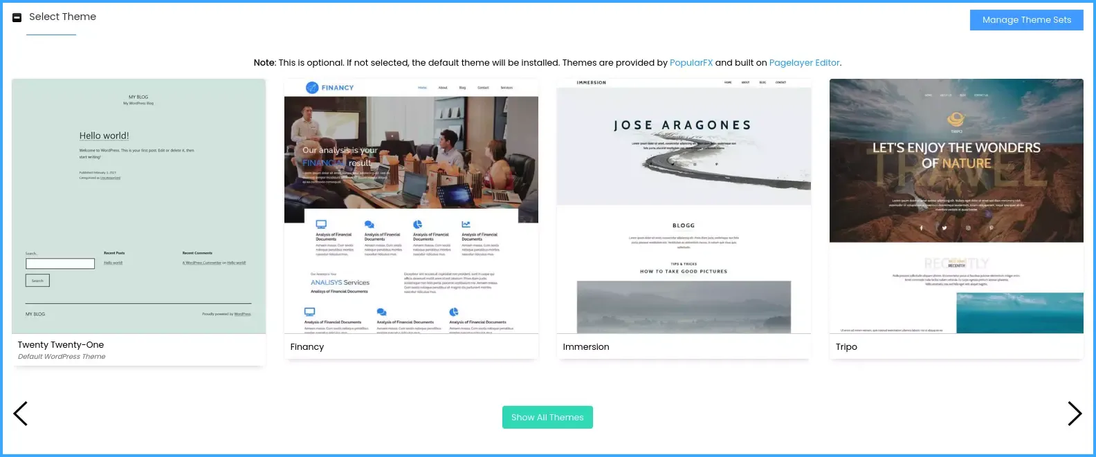 WordPress Theme