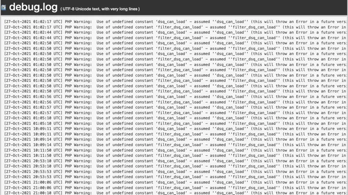 File debug.log
