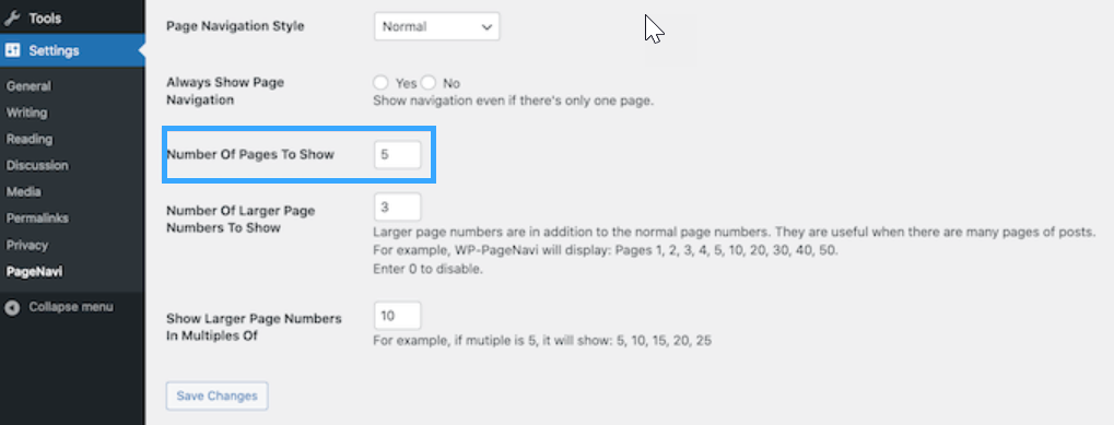 WP-PageNavi Plugin