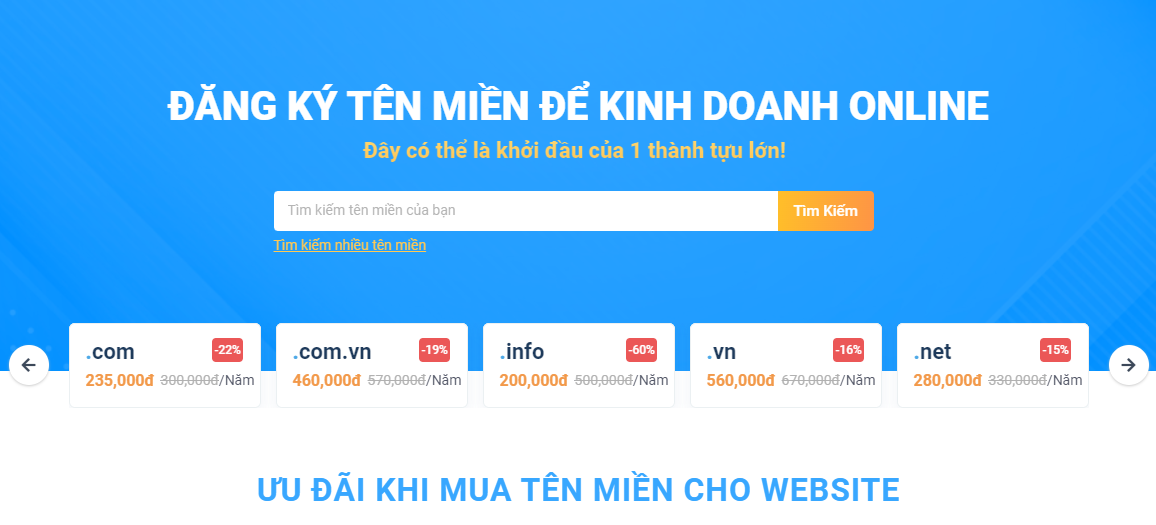 Kiểm tra tên miền tại Vietnix