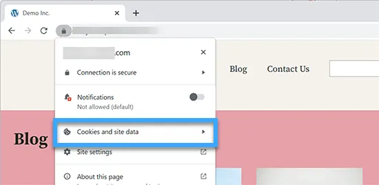 Chọn Cookies and site data