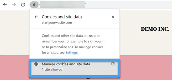 Chọn Manage cookies and site data