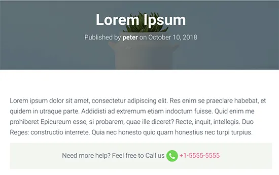 Dùng CSS tùy chỉnh để điều chỉnh thêm nhiều văn bản