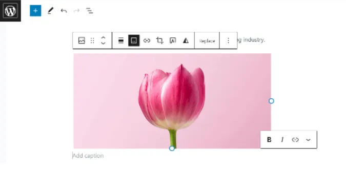 Thêm caption vào ảnh