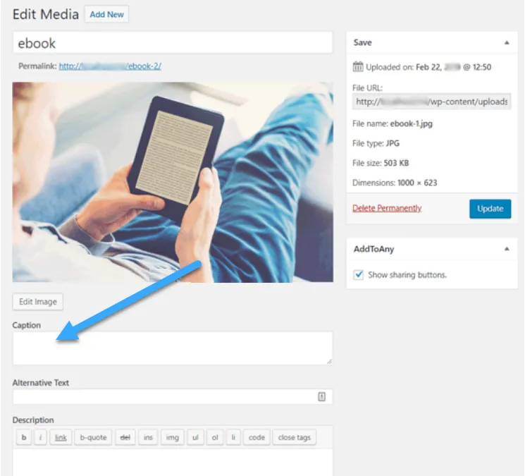 màn hình edit trong WordPress