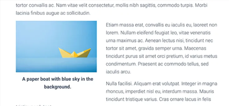 Bản xem trước