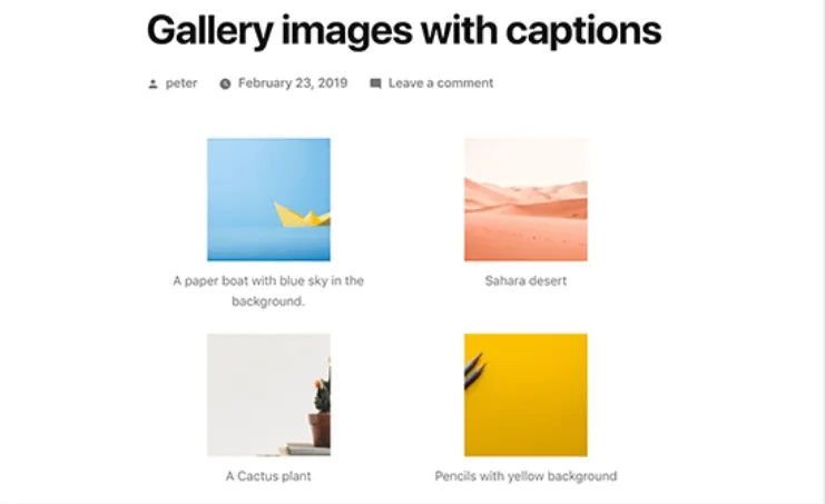 Gallery ảnh với caption