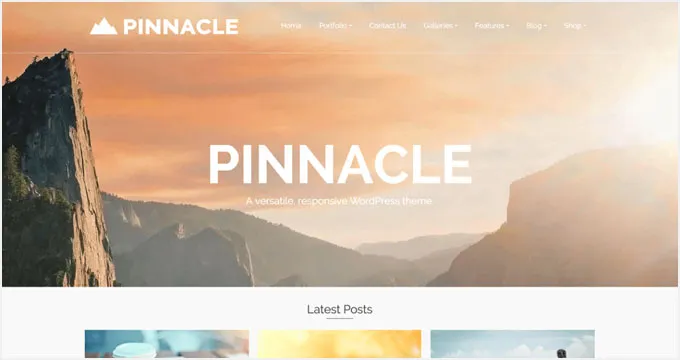 Giao diện Pinnacle