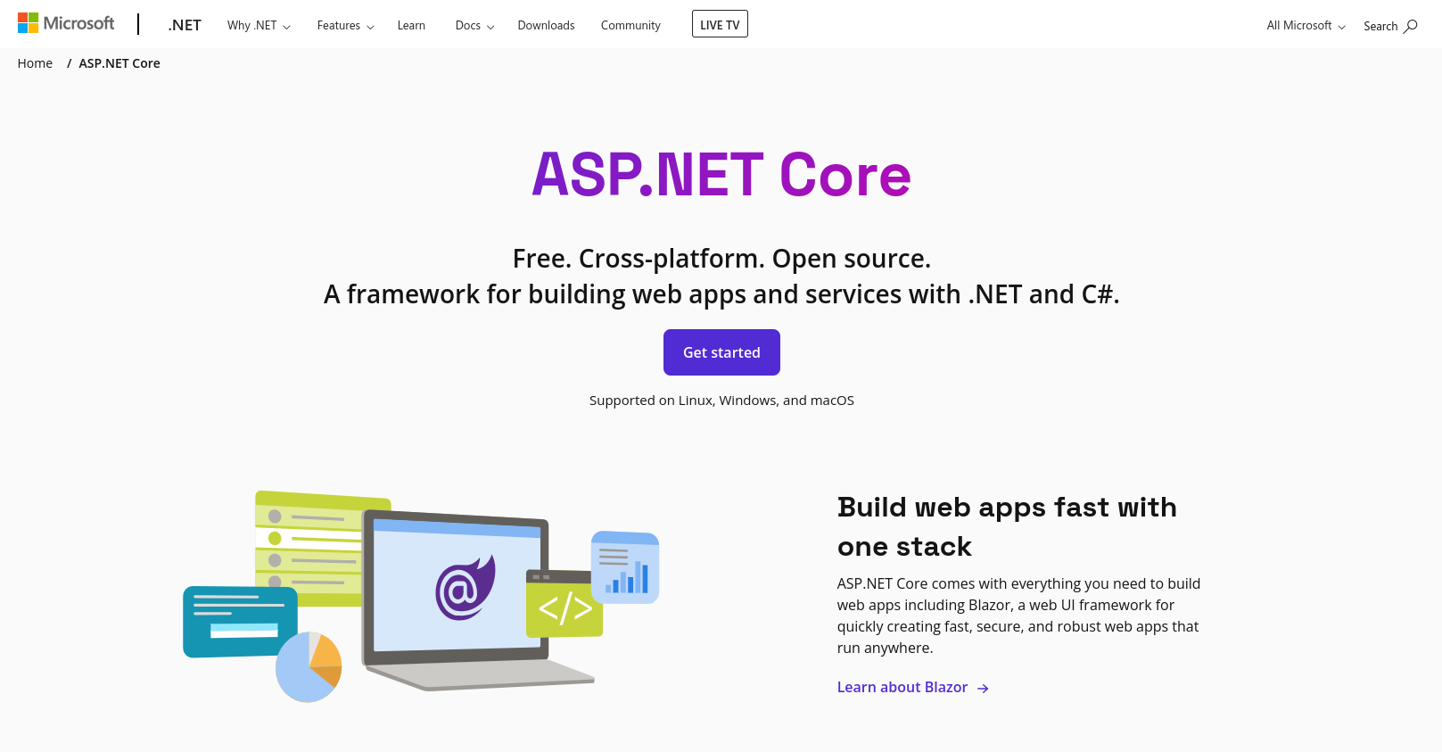 Lịch sử hình thành và phát triển của ASP.NET là gì?