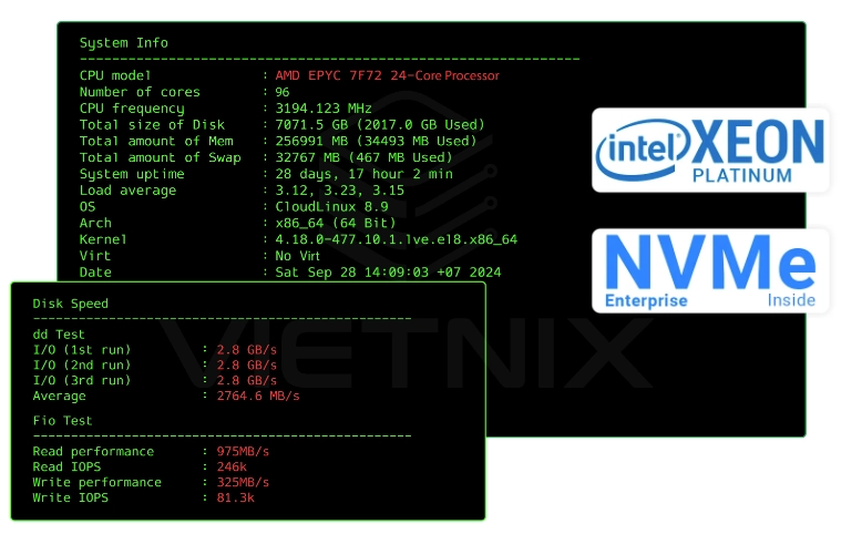 Benchmark tốc độ Business Hosting