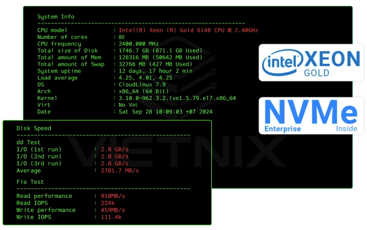 Benchmark tốc độ NVMe Hosting