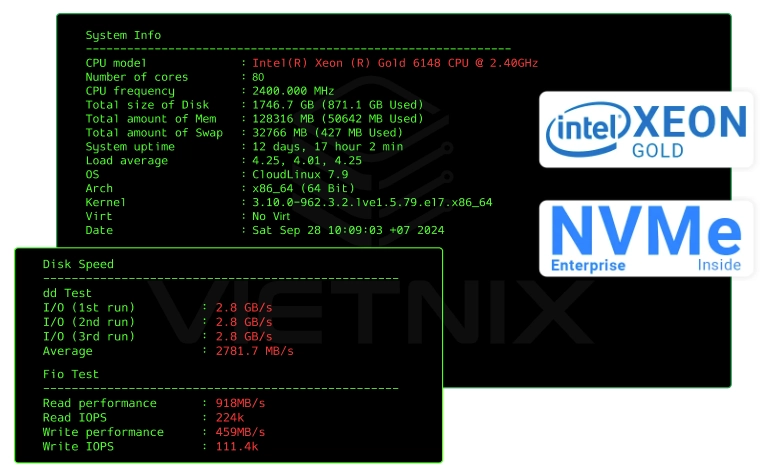 Benchmark tốc độ WordPress Hosting