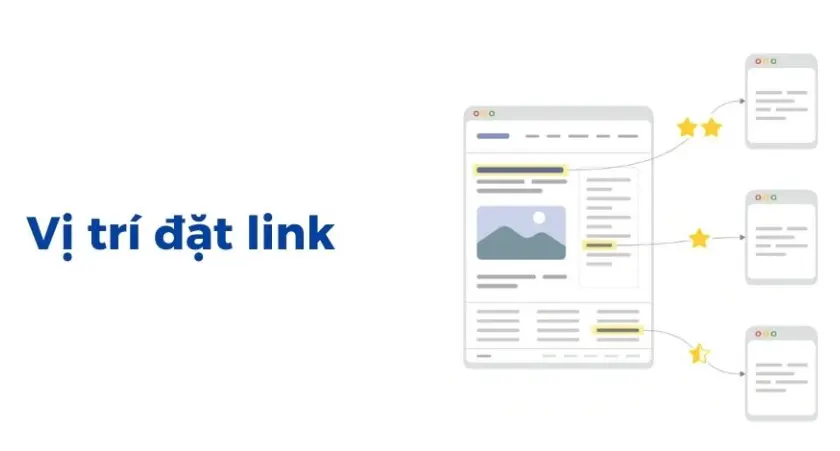 Vị trí liên kết