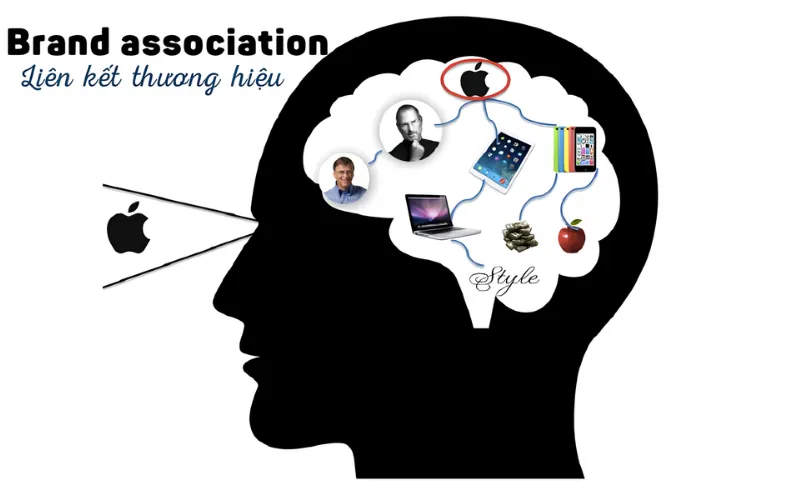 Vai trò của Brand Association là gì?
