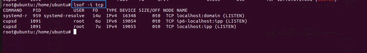 Hiển thị các kết nối TCP