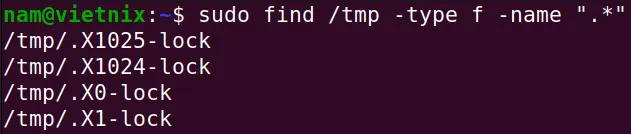 Tìm các file ẩn
