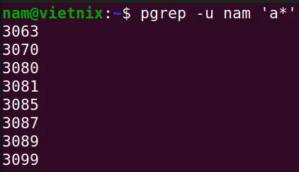 Tìm PID bằng lệnh pgrep
