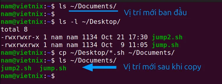 Copy các file có cùng định dạng từ thư mục hiện tại vào thư mục cần thiết