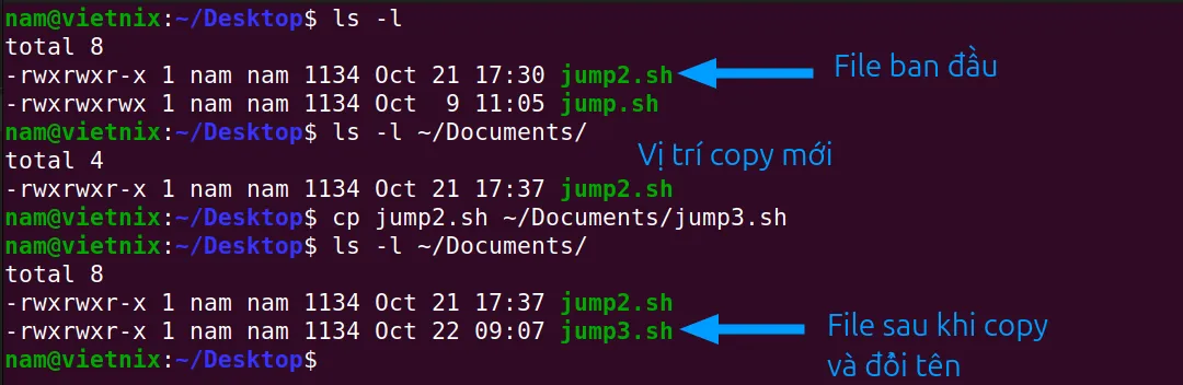 Copy và đổi tên mới file