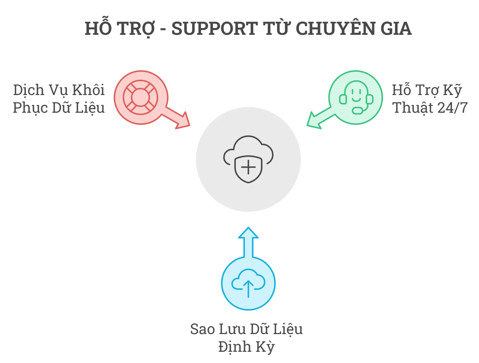 Hỗ trợ từ các chuyên gia