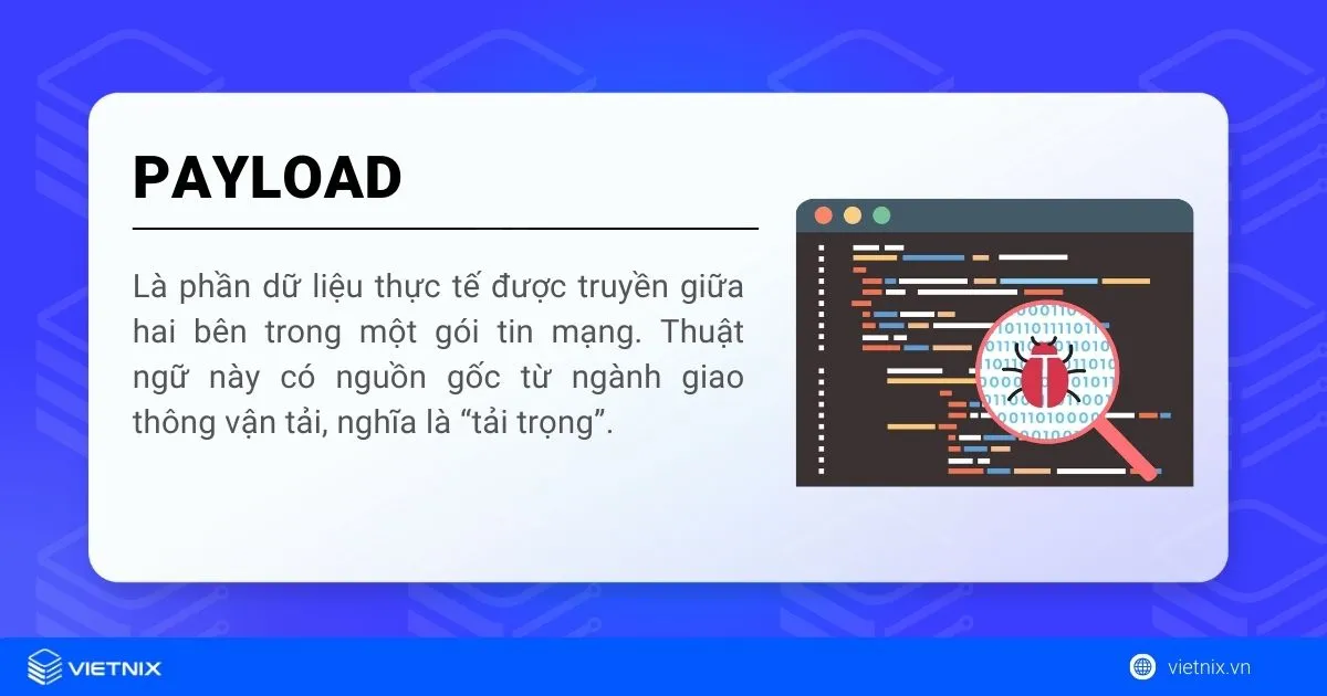 Payload là gì?