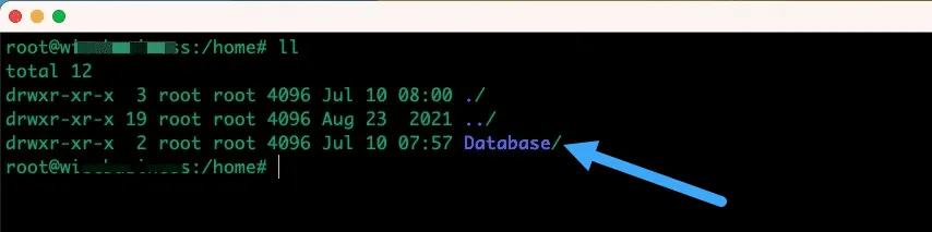 Copy dữ liệu từ Container về Server