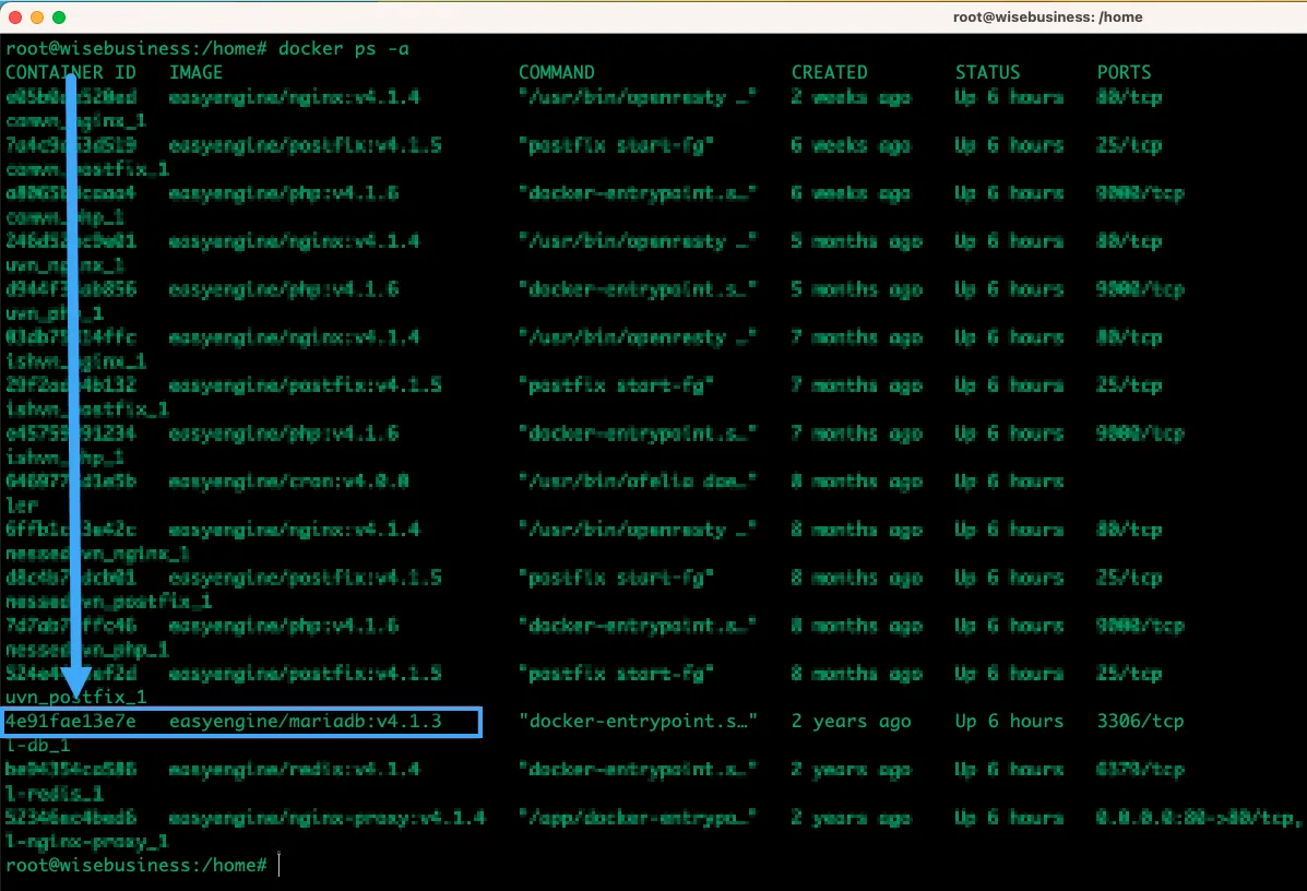 Tìm đúng Container chứa Database cần Dump