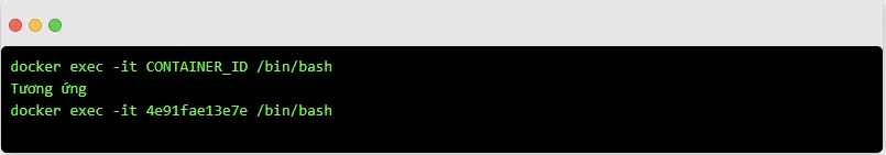 Truy cập Container ID của Mysql/Mariadb