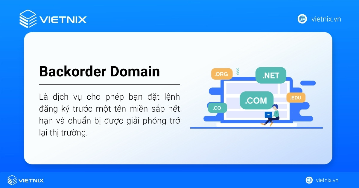 backorder domain 1 1