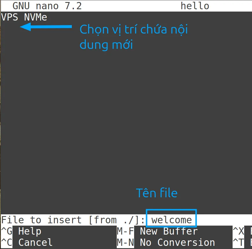 13 ví dụ sử dụng lệnh nano trong Linux hữu ích 61 Chèn nội dung từ một file khác